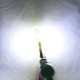 Led лампа SLS LED с обманкой can модуля, цоколь W5W(T10) 2 led 5050, в силиконе, 12-14 В. 5000K